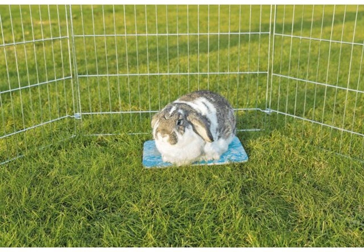 Trixie koelplaat hamster blauw (20X15 CM)