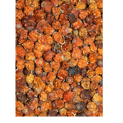 Lijsterbessen in zak 1,25 - 2,5 - 20 kg