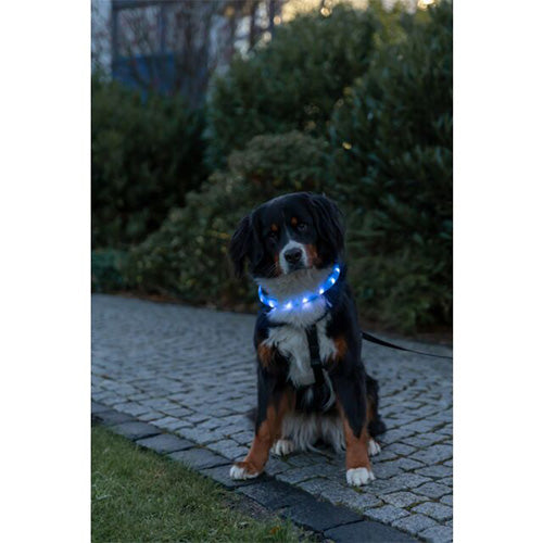 Trixie Flash Lichtgevende Halsband USB - Extra Breed - Kleur: Blauw - 3 MM Breed - Verkrijgbaar in 50 of 70 cm