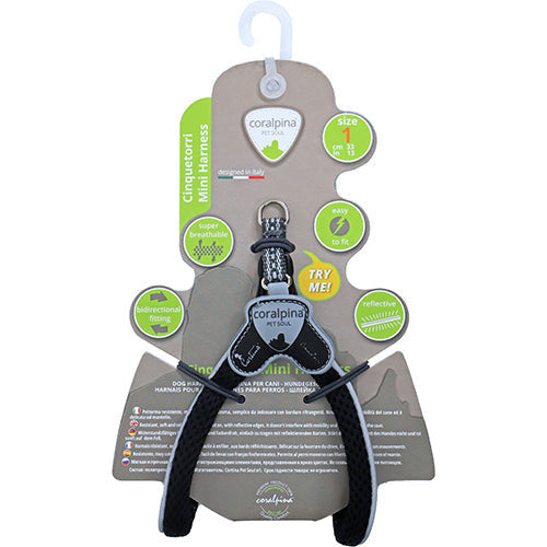 Coralpinia Minigeschirre Cinquetorri nur für sehr kleine Rassen