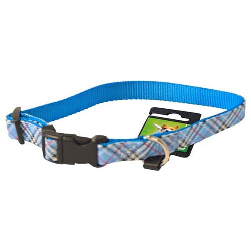 The Boon Verstellbares Hundehalsband aus Nylon – Blau – Halsumfang zwischen 25–40 cm