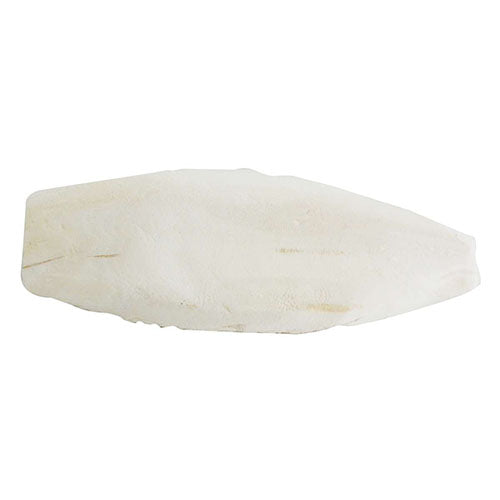 Lucky Reptile Sepia Bone - Sepia Schelp - 2 stuks - 70 gram