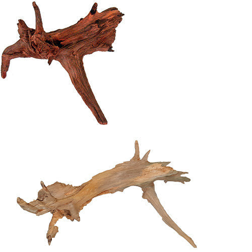 Pro Reptil sparrenwortel S - L