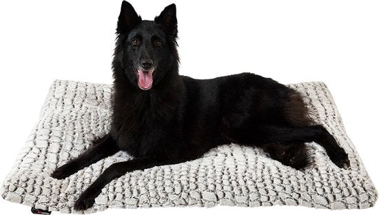 Jack and Vanilla snakeskin kussen grijs