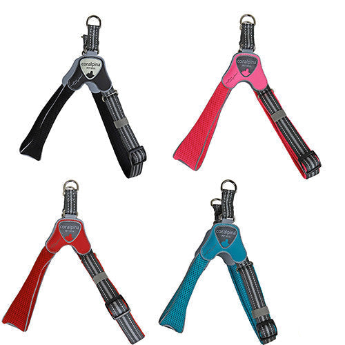 Coralpina Verstelbaar harnas Cinquetorri