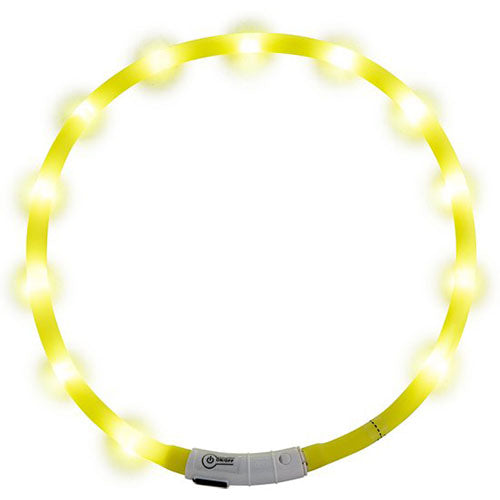 Jack and Vanilla LED Halsbanden - Verkrijgbaar in 4 kleuren