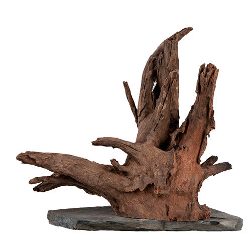 Sera Scaper Wood op leisteen plaat