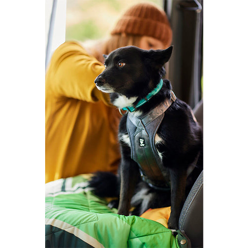 Hurtta Reisegeschirr Autogeschirr Öko Brombeere - Schwarz