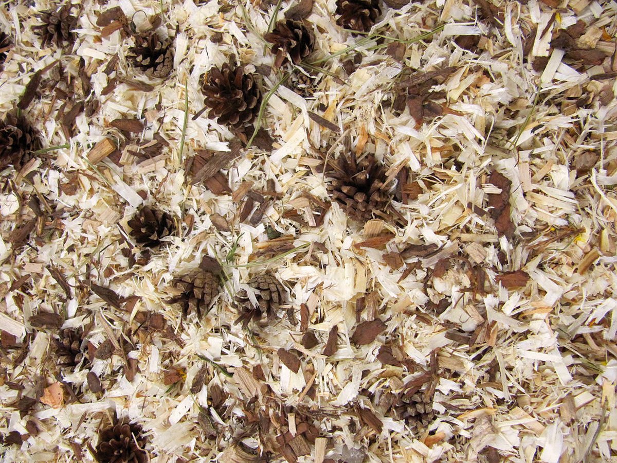 JR Farm Nagerstreu Waldgefühl 10 Liter