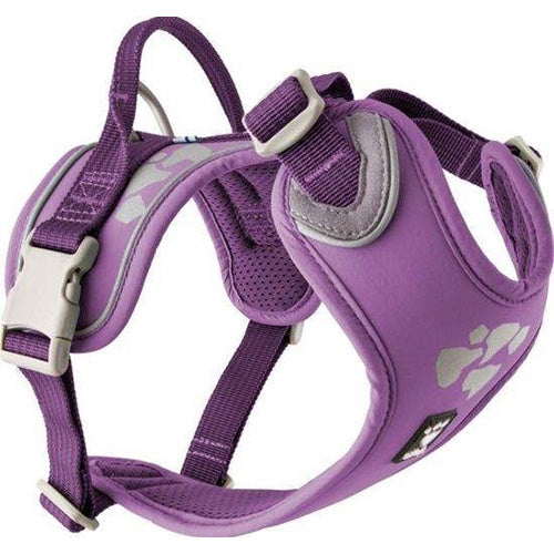 Hurtta Weekend Warrior Hundegeschirr – Farbe: Johannisbeerlila – Brustumfang: 100–120 cm