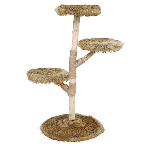 Boony Est1941 krabpaal klimboom Fagus bruin of wit