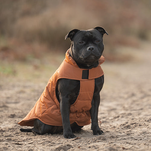 Jack and Vanilla Dogwalk - Warme Hondenjas - Jacket Puffer Berlin - Oranje - Verkrijgbaar in 8 maten