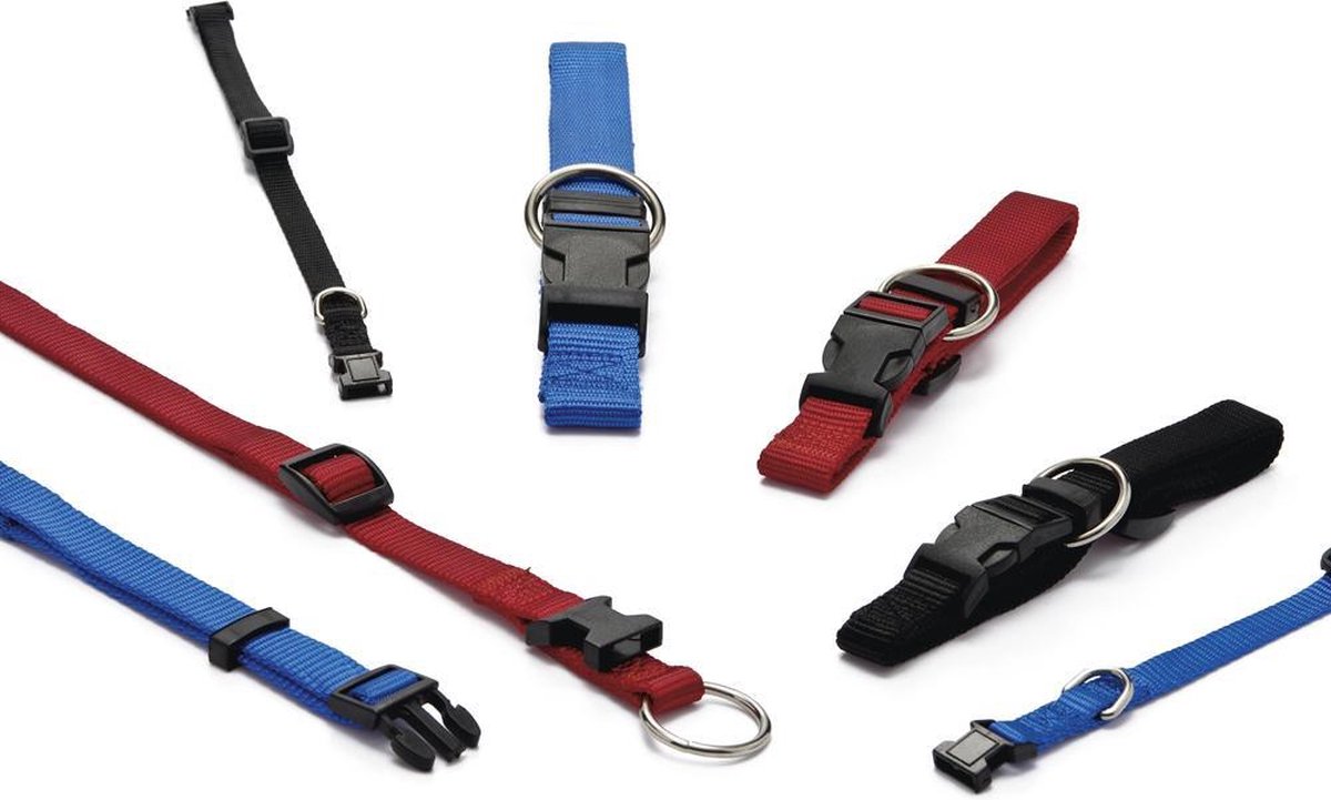 Verstellbares Hundehalsband aus Nylon – Schwarz – Verstellbar zwischen 22–35 cm – Breite 1 cm