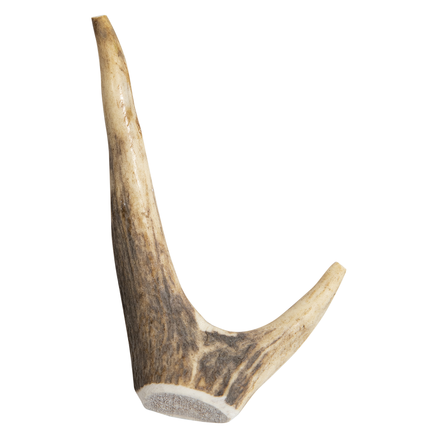 Jack and Vanilla hertengewei XS - S - M - XL