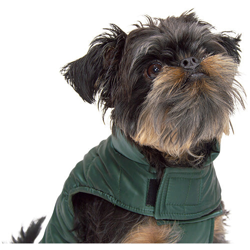 Jack and Vanilla Hondenjas Puffer Groen – Warm, Wasbaar & Met Rits voor Tuigje - Verkrijgbaar in 6 maten