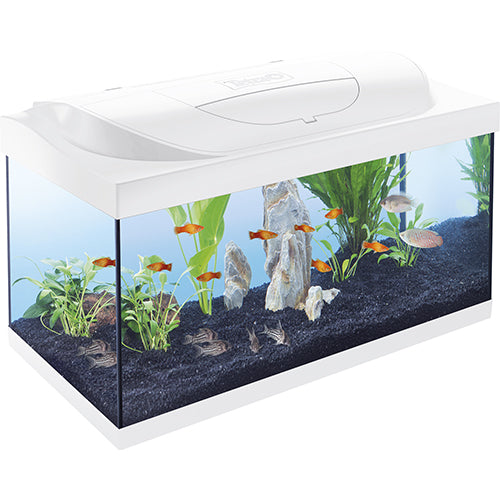 Tetra Aquarium Starter Set - 54 liter - 60 x 30 x 30 cm - Zwart of Wit
