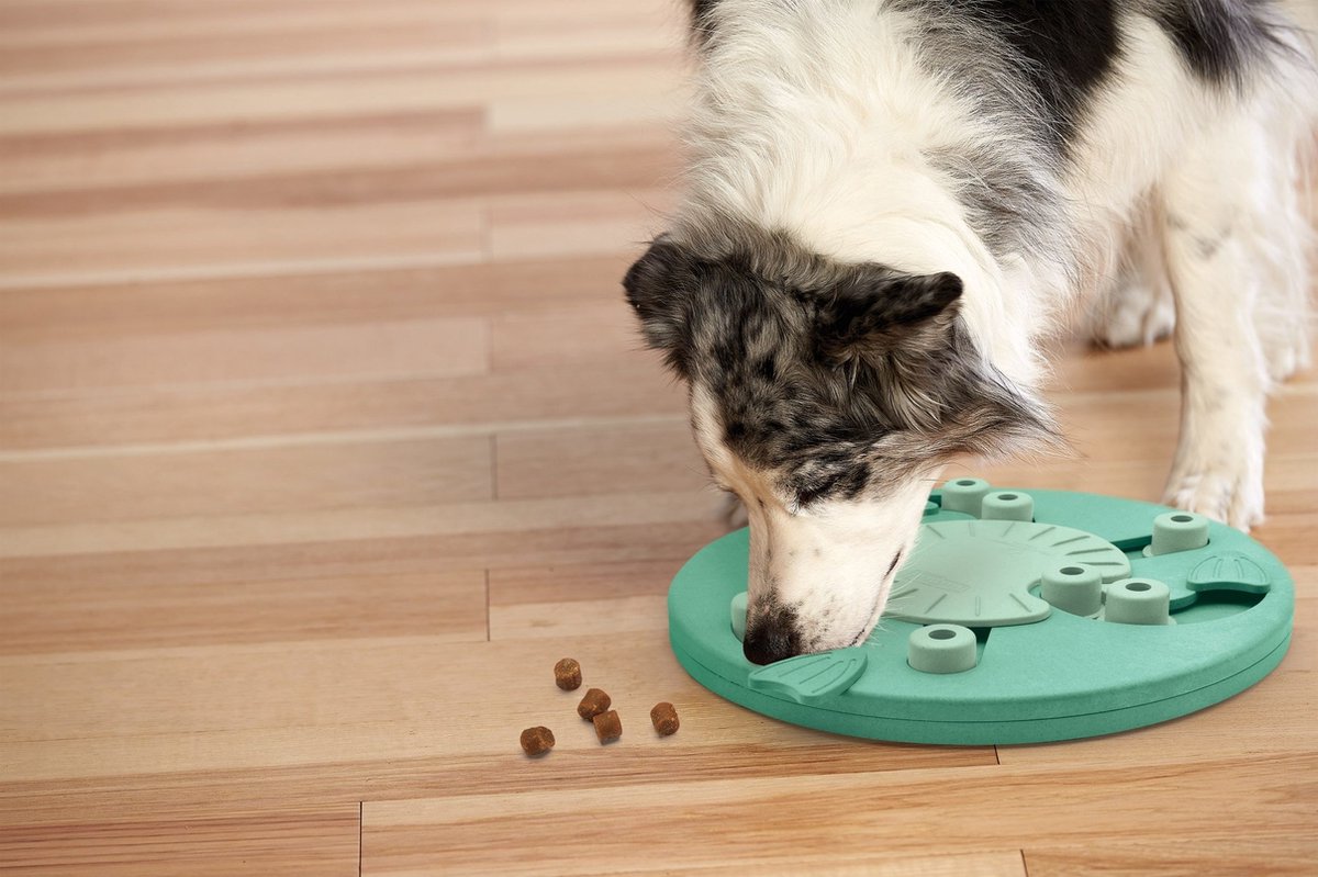 Nina ottosson dog worker composiet 34,5x34,5x5 cm