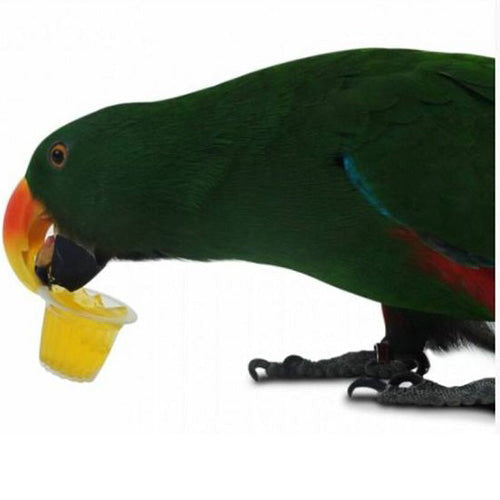 Fruitcups in verschillende smaken voor vogels per 6 stuks