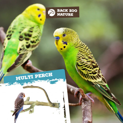 Back Zoo Nature Zitstok Multi Perch Premium X-Small - Geschikt voor: Tropische vogels, kanaries en kleine parkieten