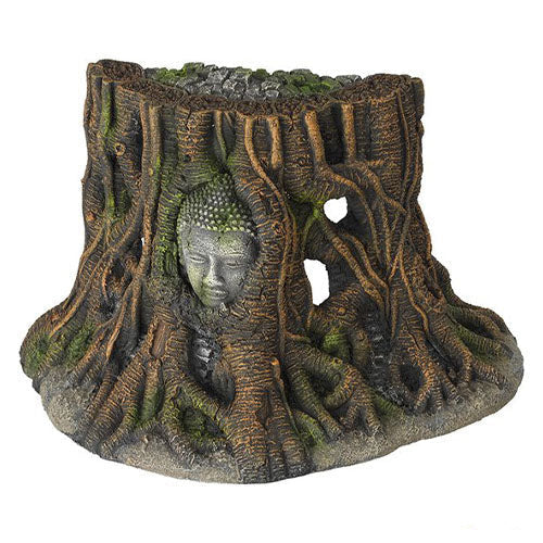 Aquarium Della Buddha Tree Thailand - 25,5x14x15 cm