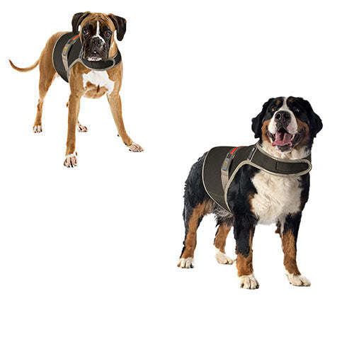 Duvoplus Veiligheidsjasje Fluo Flash USB - Reflecterende en lichtgevende veiligheidsvest Fluo Zwart