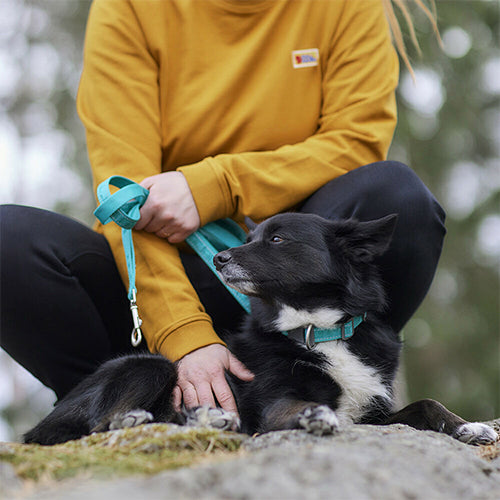 Hurtta leiband casual eco 2 cm - 180 cm