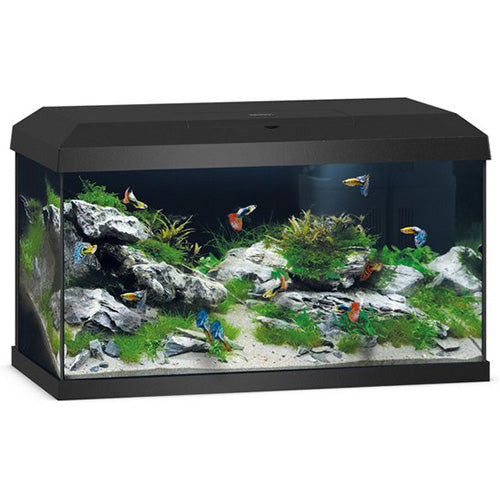 Aquarium Juwel - Primo 60 - met filter - Inhoud: 63 liter - 61x31x37 cm.