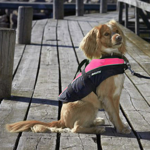 Baltic Hondenzwemvest Mascot - Verkrijgbaar in 4 kleuren en 6 maten