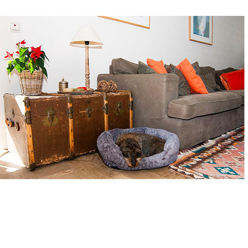 Jack and Vanilla Scale mand rond