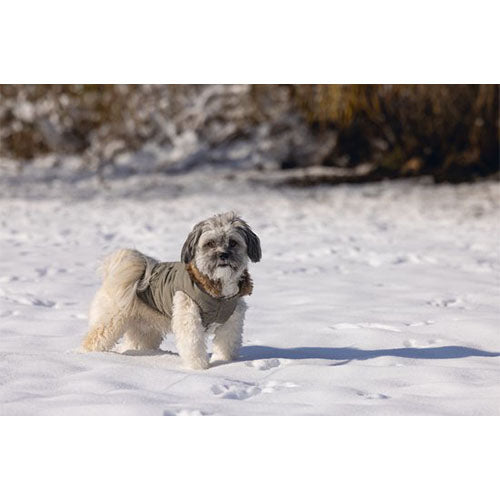 Designed by Lotte Philos Hondenjas Maat XS: ruglengte 20 cm