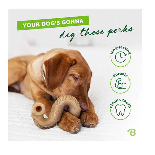 Benebone Tripe Bone Rund - knaagspeelgoed - pens - 3 maten