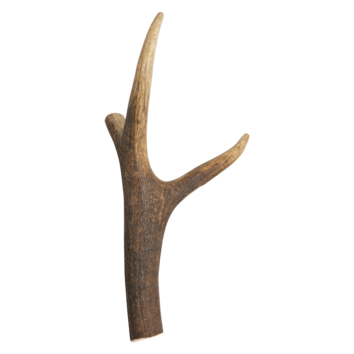 Jack and Vanilla hertengewei XS - S - M - XL