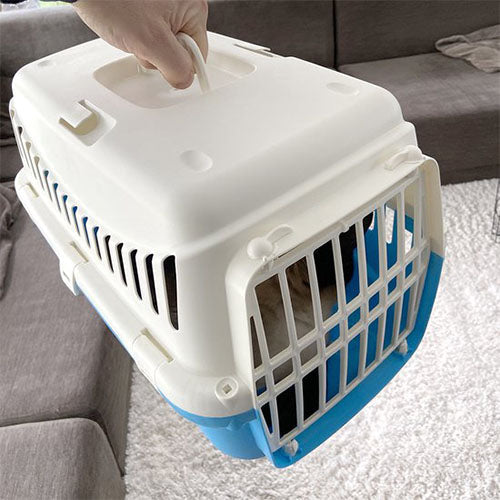 Smurfs Hefty Smurf Duvoplus – Reisebox-Transporter für Hunde oder Katzen – Maße: 46 x 30 x 30 cm