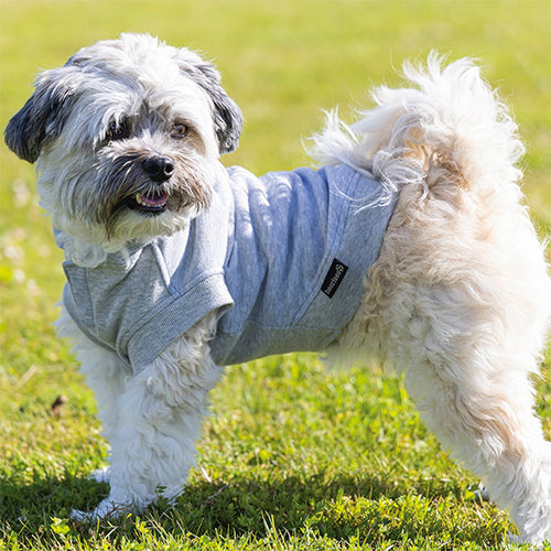 Beeztees Palu Hoodie Hondentrui - Lichtgrijs - Ruglengte: 32 cm