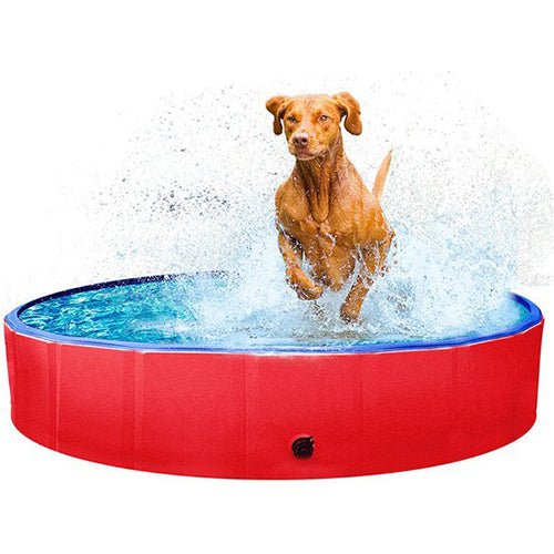Kowloon Doggy Pool - Hondenzwembad - 80 x 20 cm