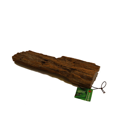 Wortelhout S - M - L