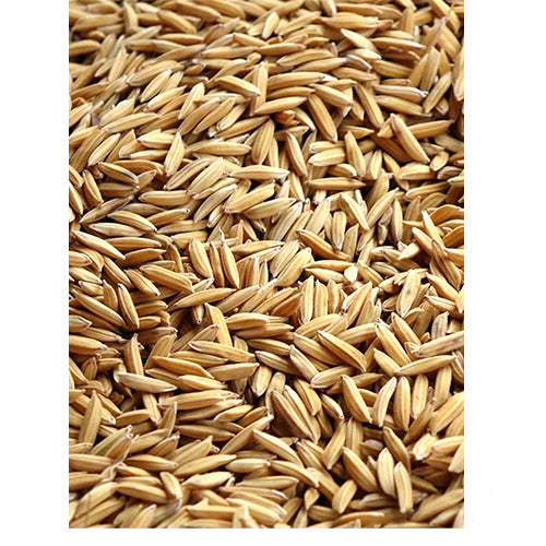 Paddy rijst in zak 0,8 - 4 - 17 kg