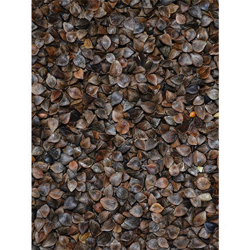 Buchweizen im Sack 0,9 - 15 - 25 kg