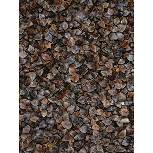 Buchweizen im Sack 0,9 - 15 - 25 kg