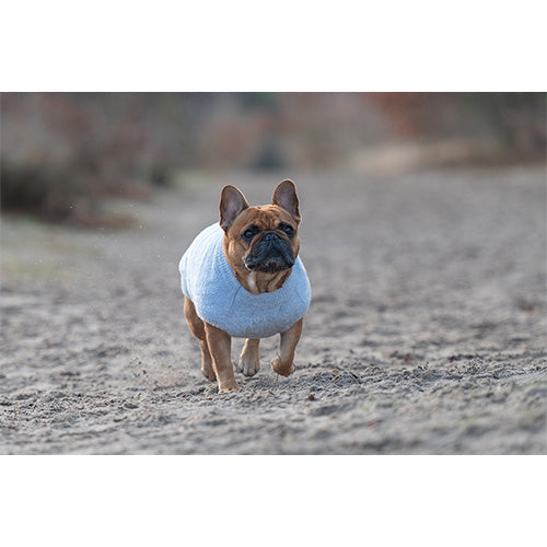 Jack and Vanilla Dogwalk Sweater Plush Milano - Zachte Warme Hondentrui - Kleur: Groen - Verkrijgbaar in 6 maten