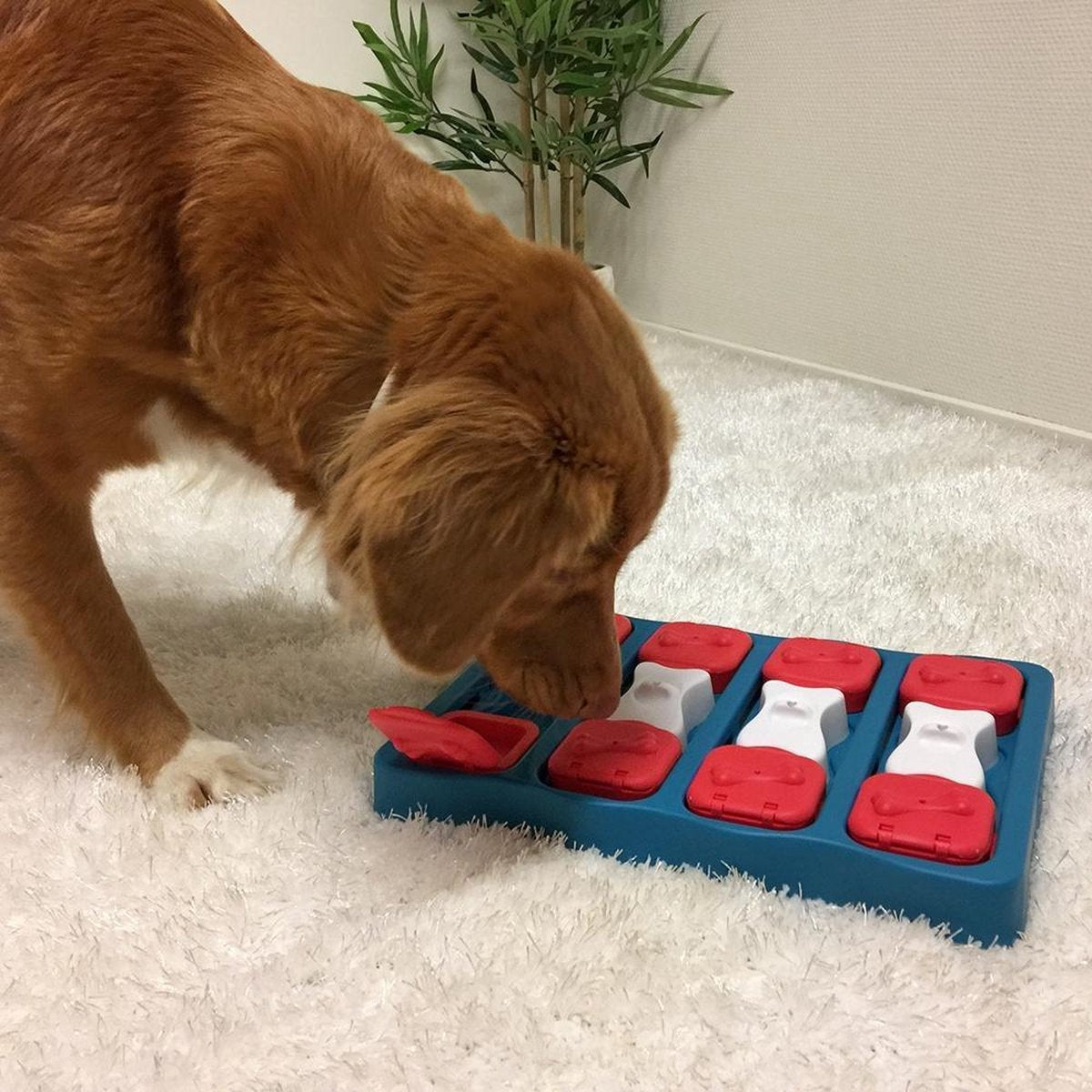 Nina Ottosson - Hondenspel - Dog brick