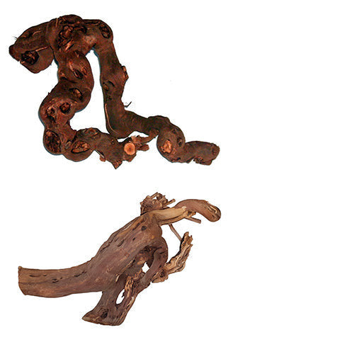 Pro Reptil Wijnstokken - 3 maten