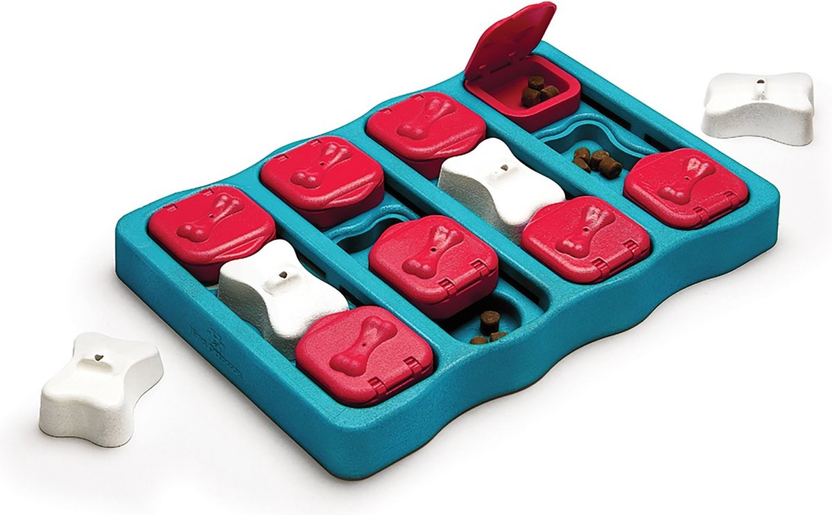 Nina Ottosson - Hondenspel - Dog brick