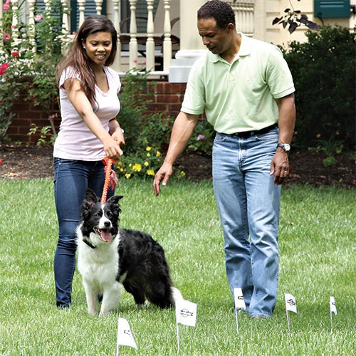 PetSafe 150 meter draad en 50 vlaggen