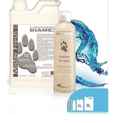 Diamex Mister Fresh shampoo
