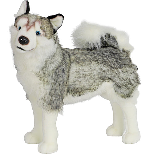 Boony Natural Decoration Husky