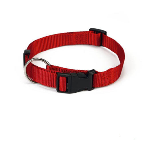 Beeztees - Verstelbare Nylon Honden Halsband - Rood - Nekomtrek tussen 22-35 cm - Breedte Halsband 1 cm