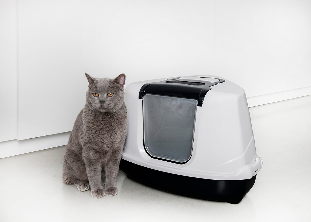 Moderna kattenbak flipcorner - hoekkattenbak - 55,7 x 45,1 x 38,2 cm