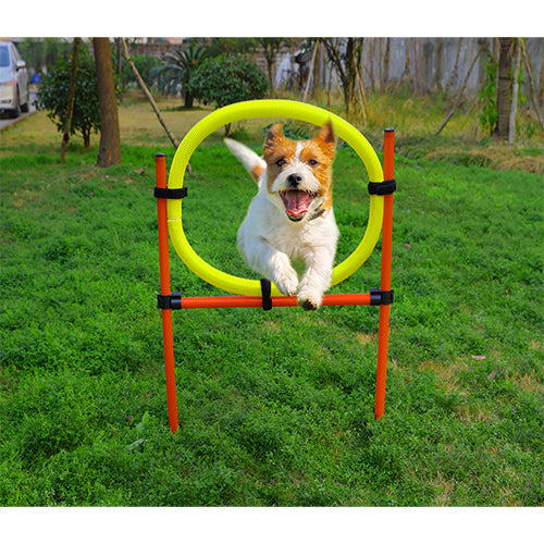 Agility-set 6x stok 1x springring en 1x agility-horde