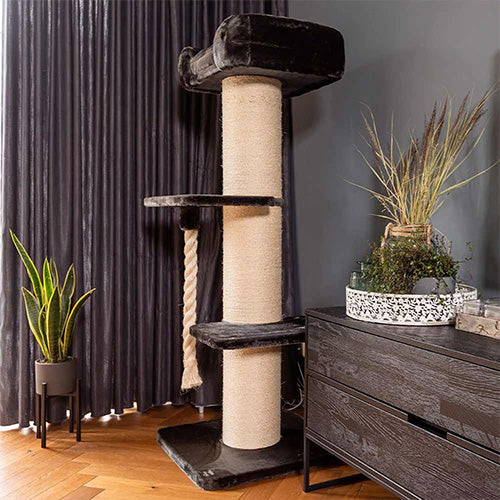 Quapas! Tower Lounge Kratzbaum in Dunkelgrau für große Katzen wie Maine Coons – 60 x 60 x 160 cm
